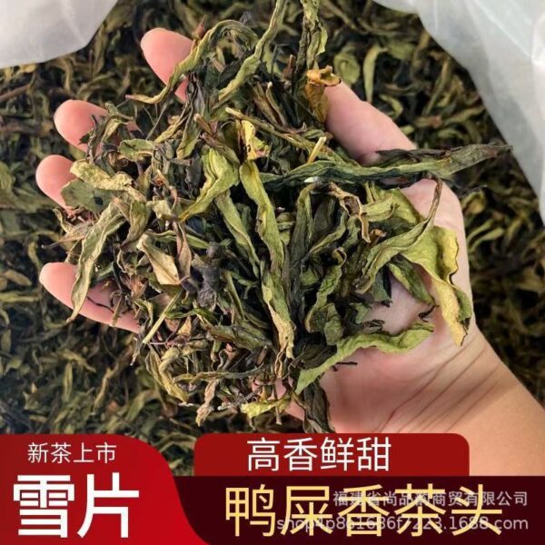 详情-1 奶茶店原料鸭屎香大红袍茶头茉莉雪芽茶 Raw materials for milk tea shops: Yashi Xiang (Duck Shit Aroma), Da Hong Pao (Big Red Robe), tea heads, and Jasmine Snow Buds tea