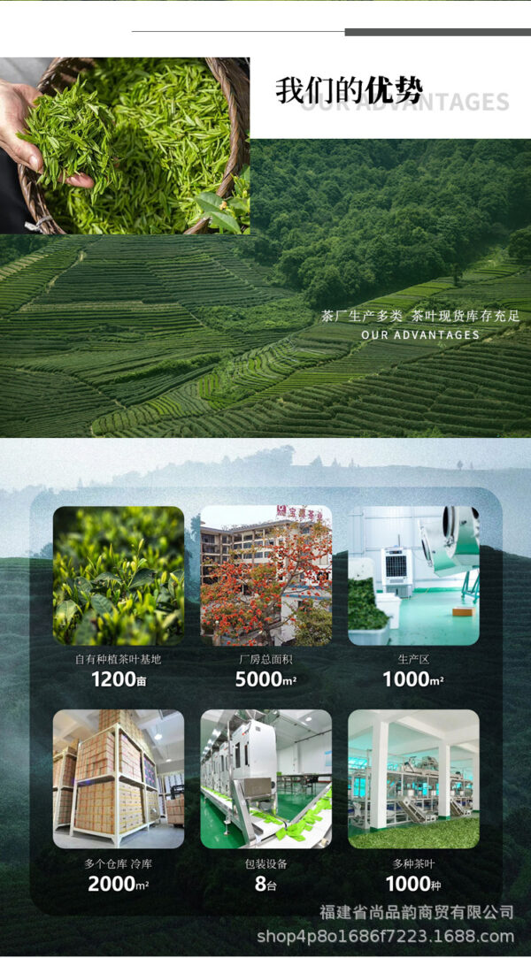 详情-11 奶茶店原料鸭屎香大红袍茶头茉莉雪芽茶 Raw materials for milk tea shops: Yashi Xiang (Duck Shit Aroma), Da Hong Pao (Big Red Robe), tea heads, and Jasmine Snow Buds tea