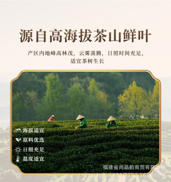 详情-18 奶茶店原料鸭屎香大红袍茶头茉莉雪芽茶 Raw materials for milk tea shops: Yashi Xiang (Duck Shit Aroma), Da Hong Pao (Big Red Robe), tea heads, and Jasmine Snow Buds tea