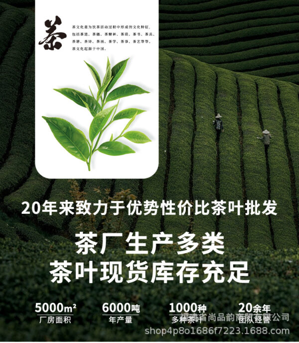 详情-8 奶茶店原料鸭屎香大红袍茶头茉莉雪芽茶 Raw materials for milk tea shops: Yashi Xiang (Duck Shit Aroma), Da Hong Pao (Big Red Robe), tea heads, and Jasmine Snow Buds tea