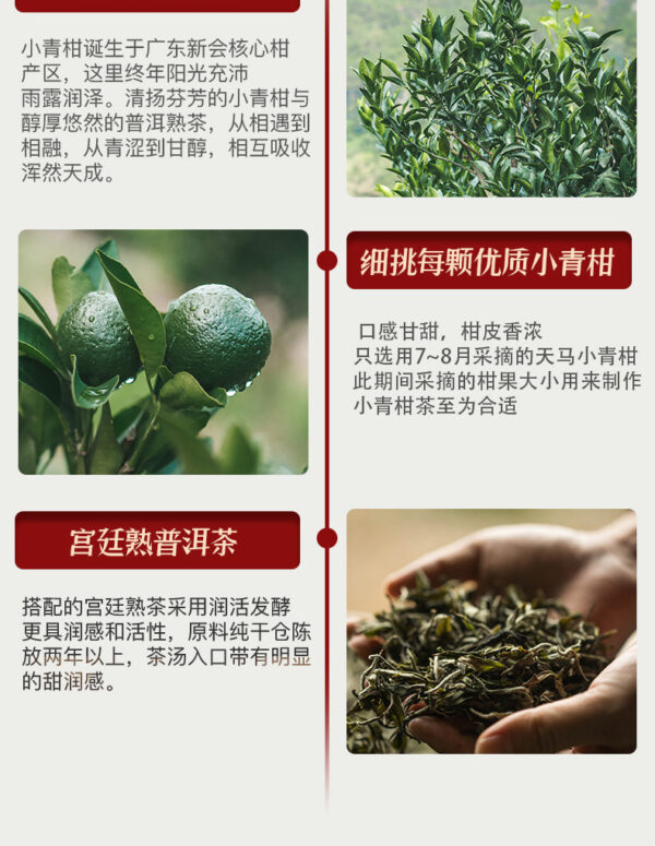 详情-9 小青柑普洱茶陈皮柑普茶宫廷熟普礼盒 Xiaoqing Gan Pu'er Tea, Tangerine Peel Ganpu Tea, Imperial Ripe Pu'er Gift Box